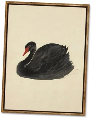 Palette Dreams Black Swan Wall Art Vintage 16"L x 12"W Vintage Black Swan - Image 1 of 4