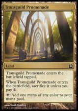 Magic the Gathering MTG Transguild Promenade (249) Return to Ravnica   LP