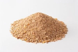 Grundfutter Nuss geröstet 20 kg Angelfutter Karpfen Fischen (2,38 EUR/kg) - Bild 1 von 1