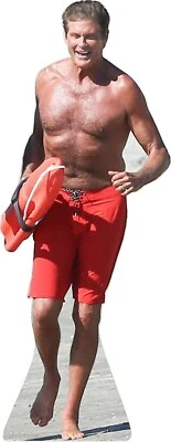 David Hasselhoff - Baywatch 74" Life Size Cardboard Cutout Standee - Bild 1 von 3