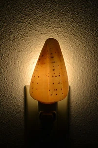 SPOTTED CONUS SEA SHELL NAUTICAL HOME DECOR KITCHEN BEDROOM NIGHTLIGHT - Picture 1 of 3