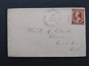 Minnesota: Elgin 1884 #210 Cover, Violet Wabasha County Cancel - Picture 1 of 3