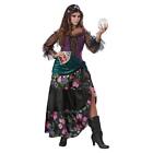 Mystical Charmer Gypsy Fortune Teller Fancy Dress Up Halloween Adult Costume