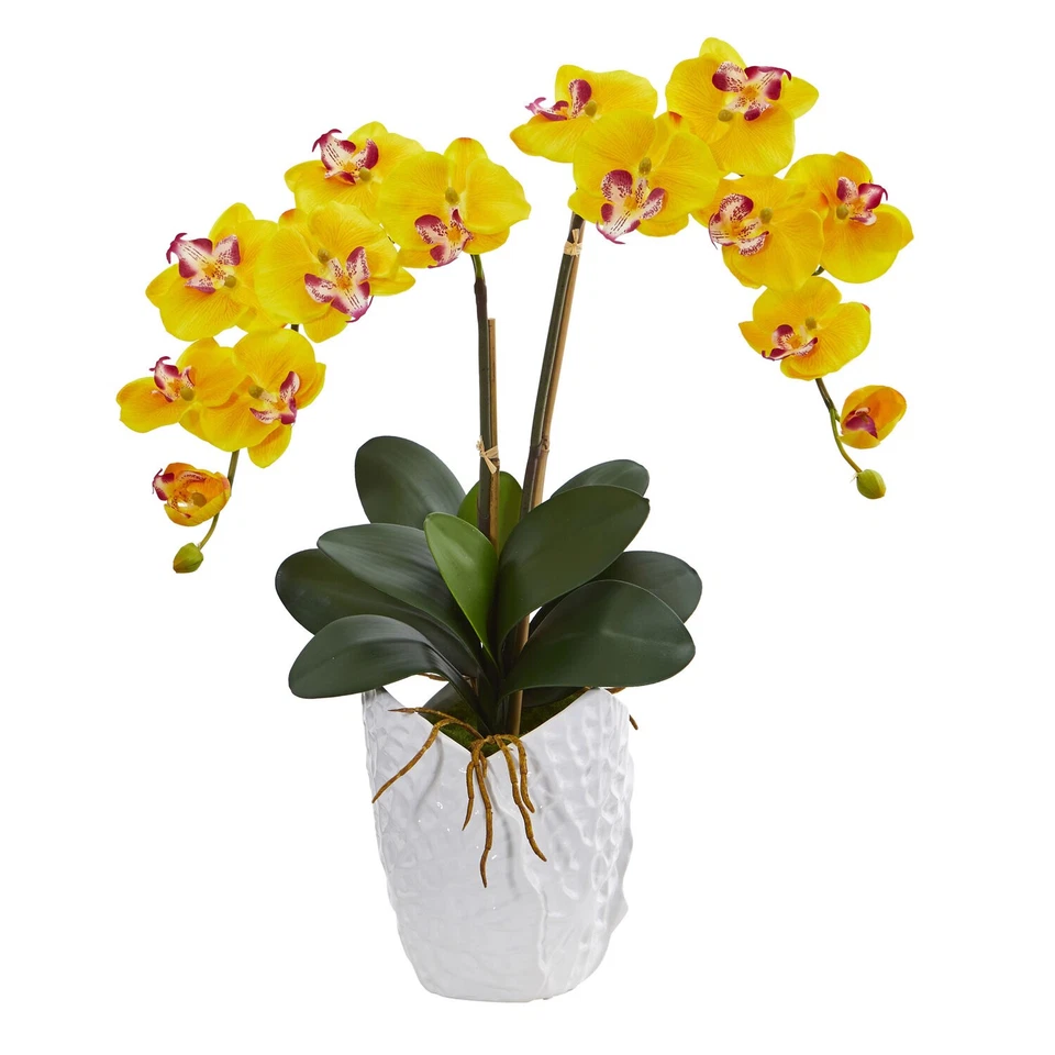 Nearly Natural Double Phalaenopsis Orchid Artificial Arrangement in White Cerami - Image 1 of 1