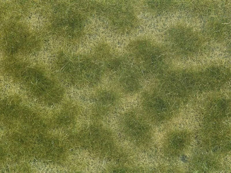 07253 NOCH FOGLIAME TAPPEZZANTE COLORE VERDE E BEIGE MISURE CM. 12 X 18 - Immagine 1 di 1