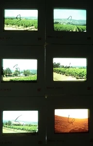 6 Original Vintage 35mm Kodak Photo Color Slide Napa Kodachrome Transparency - Picture 1 of 10
