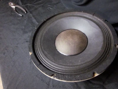 Altavoz de bajos SWR Goliath de colección de 10 pulgadas 8 ohmios del gabinete Goliath II #1 Foto 1 de 4