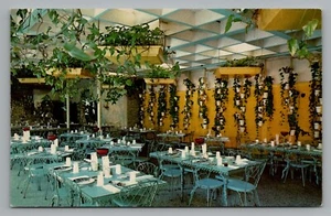 Garden Room at the Famous Kapok Tree Inn Clearwater Florida 1965 Postcard - Picture 1 of 2