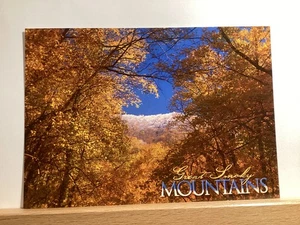 Fall Becomes Winter, Great Smoky Mountains National Park: - Vintage Postcard - Picture 1 of 3