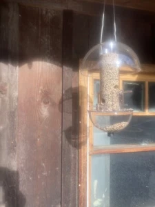bird feeders hanging - Picture 1 of 2