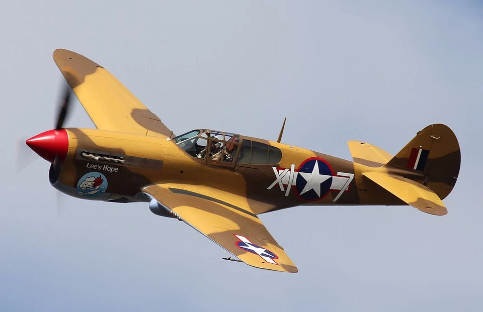 Avión de escritorio Rowley P-40F construido en casa modelo de madera grande envío gratuito Foto 1 de 1