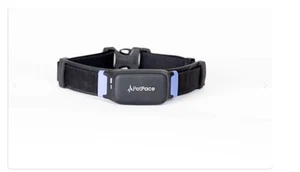 Collar inteligente PetPace 2.0 - PEQUEÑO - Imagen 1 de 3