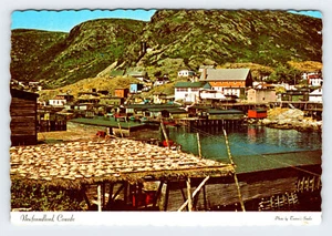 Petty Harbour Terranova Canada cartolina d'epoca 4x6 FMP2 - Foto 1 di 2