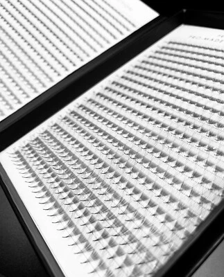 Premade Russian Volume fans 10D 0.07 XXL pallet 1000 fans Mixed Lengths Promade - Image 1 of 3