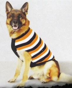 Hyde and EEK! Suéter boutique de Halloween naranja y negro para perro - mediano - Imagen 1 de 6