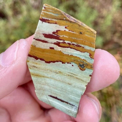 Impresionante losa de jaspe Owyhee Foto 1 de 4