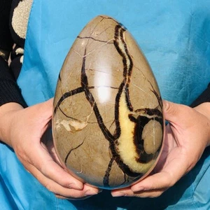 6.42LB Natural Turtle Back Stone Egg Shape Dragon Crystal Crack healing 2403 - Picture 1 of 16