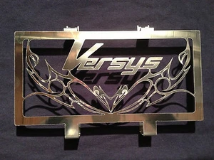 Radiator Grille/Radiator Guard Cover Stainless Steel Made IN France Versys 650 - Picture 1 of 1