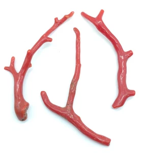 100%Natural Italian Red Coral Polished Branch 3 Pcs New Arrival Coral Branch - Picture 1 of 8