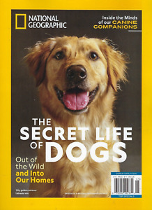 National Geographic  Special  The Secret Life of Dogs 2024