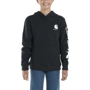 Carhartt Boys' Logo Pullover Hoodie - Picture 1 of 10