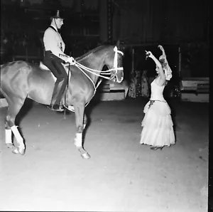CIRQUE c. 1960 - 12 Negatives 6 x 6 Dressage Horse Beasts - BO 143 - Picture 1 of 12