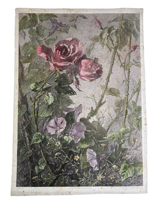 Ed. Muller. Roses, Morning Glory and Yellow Daisies. Lithograph Lemercier 1872 - Bild 1 von 4