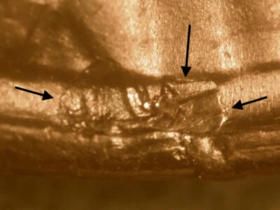 1954-S Nice Lamination Peel Below Bust of Lincoln Ch/Gem BU Lincoln Cent Error - Image 1 of 4