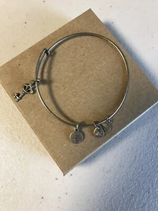 Alex And Ani Skeleton Pear? In Silver Bracelet - Picture 1 of 3