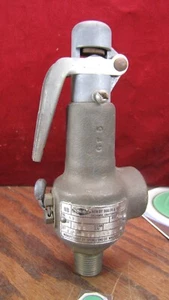 Spence Boiler Safety Pressure Valve 1/2" 631 steam lb ft Fig 41 WATTS 17M101 - Picture 1 of 5