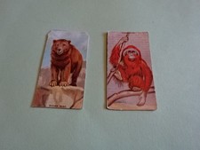 MORRIS & SONS - ANIMALS AT THE ZOO - 2 CARDS - ORANG-UTAN & BROWN BEAR 