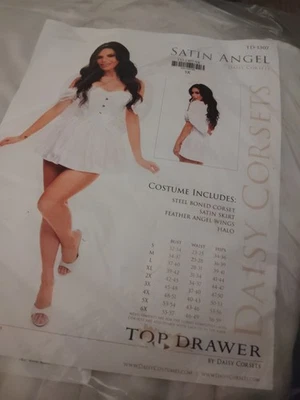 Satin Angel,Daisy Corsets. Costume Dress - Image 1 of 2