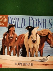 Wild Ponies: A One Whole Day Book by Arnosky, Jim - Picture 1 of 3
