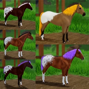 Wild Horse Islands - 5x verschiedene Appaloosa's - IUH Konvolut - Bild 1 von 1