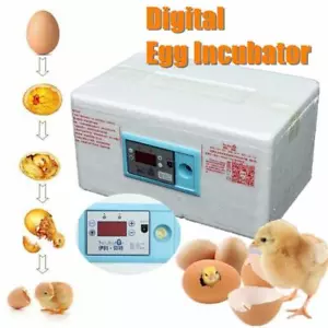 Control Chicken Egg incubator Poultry Hatcher Brooder Farm Incubation Tools - Picture 1 of 10