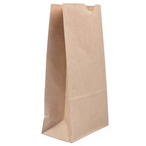 Kraft Lunch Bags, 5 x 9.75 x 3, Brown, 25/Pack, Medium - Picture 1 of 3