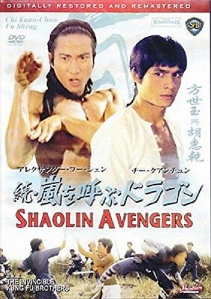 Shaolin Avengers AKA The Invincible Kung Fu Brothers-- Hong Kong RARE Kung Fu  - image 1 of 1