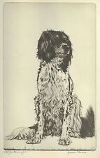 * English Setter #2 - CUSTOM MATTED - 1935 Vintage Dog Art Print - Diana Thorne