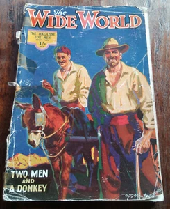 THE WIDE WORLD MAGAZINE JULY 1928 No. 364 TWO MAN AND A DONKEY A WALKING TOUR - Picture 1 of 1