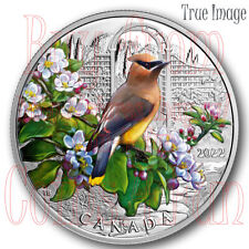 2022 Colourful Birds #2 Cedar Waxwing - $20 1 oz. Pure Silver Proof Coin Canada