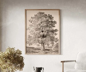 Illustrazione litografia grande albero riproduzione belle arti tela o carta STAMPA - Foto 1 di 12