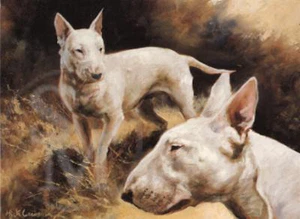 Bull Terrier Inglés Perro Cachorro Animal Pintura Blanco Cumpleaños Día del Padre Tarjeta - Imagen 1 de 1