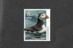 Puffin Guernsey-Native Bird -2019 - Picture 1 of 1