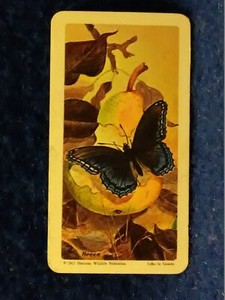 1959 -1974 Brooke Bond / Red Rose Tea Cards, Black & Blue Stripe cards U-Pick-1