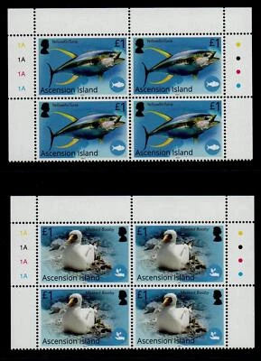 ПРОГРАММА СИНЕГО ПОЯСА ASCENSION ISLAND 2021-SG1339-1137 В БЛОКАХ ПЛАСТИН 4 КАК НОВЫЕ БЕЗ НАКЛЕЕК И СЛЕДОВ - Изображение 1 из 2