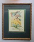 Large Pheasant Flying with Man Holding on to Birds Legs Framed India Theme