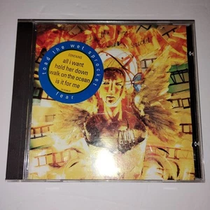 Toad The Wet Sprocket Fear CD All I Want Hold Her Down Walk On The Ocean  & More - Picture 1 of 4