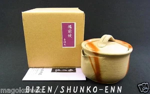 o4846, japonés, artículos Bizen, SHUNKO-ENN, tetera Hidasuki tipo HOUHIN. - Imagen 1 de 6