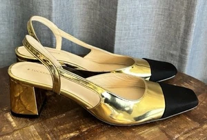Tuckernuck Tinsley Tacones con Cordones Puntera Dorada Negra Talla 10.5 - Imagen 1 de 22