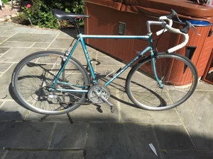 Raleigh Dynatech 401 Titanium Road Bike Vintage Mechanically perfect classic 22 - Picture 1 of 12